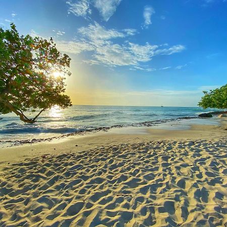 Palm Beach Paradise Vacation Rental Εξωτερικό φωτογραφία
