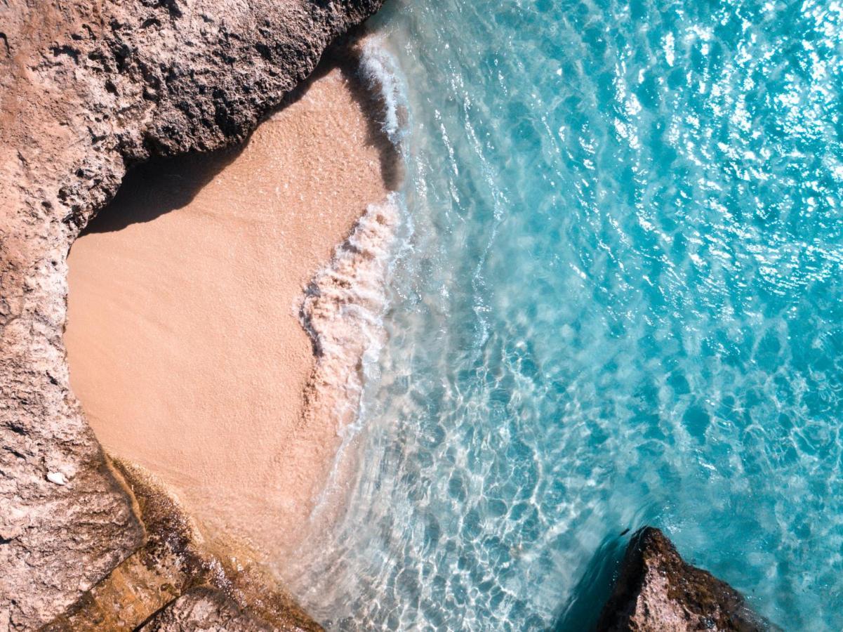 Palm Beach Paradise Vacation Rental Εξωτερικό φωτογραφία