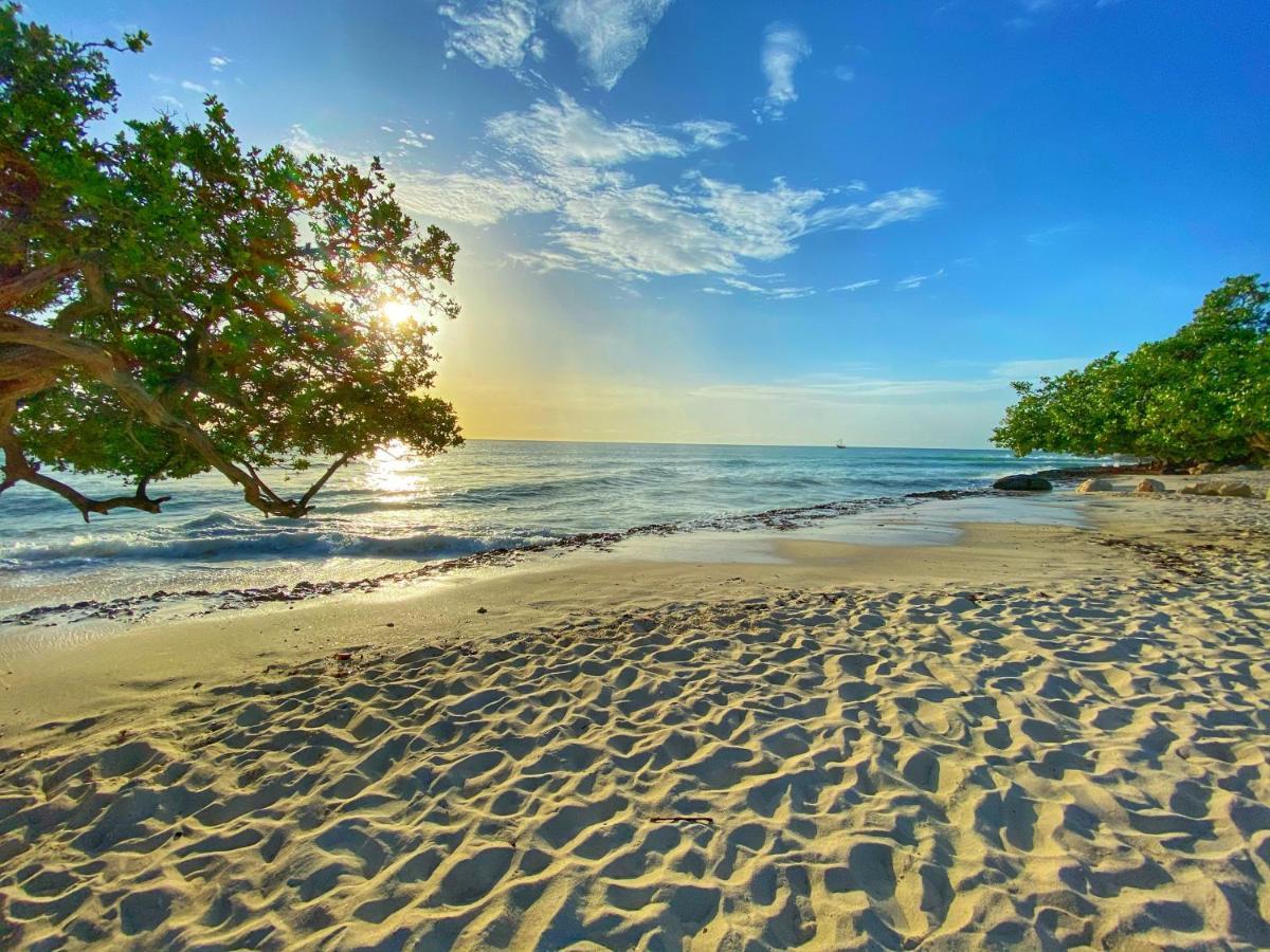 Palm Beach Paradise Vacation Rental Εξωτερικό φωτογραφία